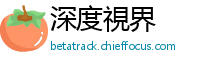 深度視界